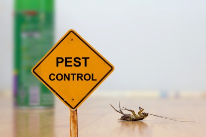 Pest Contol in Earlsfield, SW18. Call Now 020 8166 9746